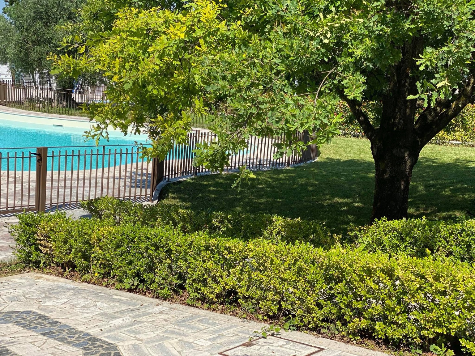 Giardino curato con siepi, prato e piscina
